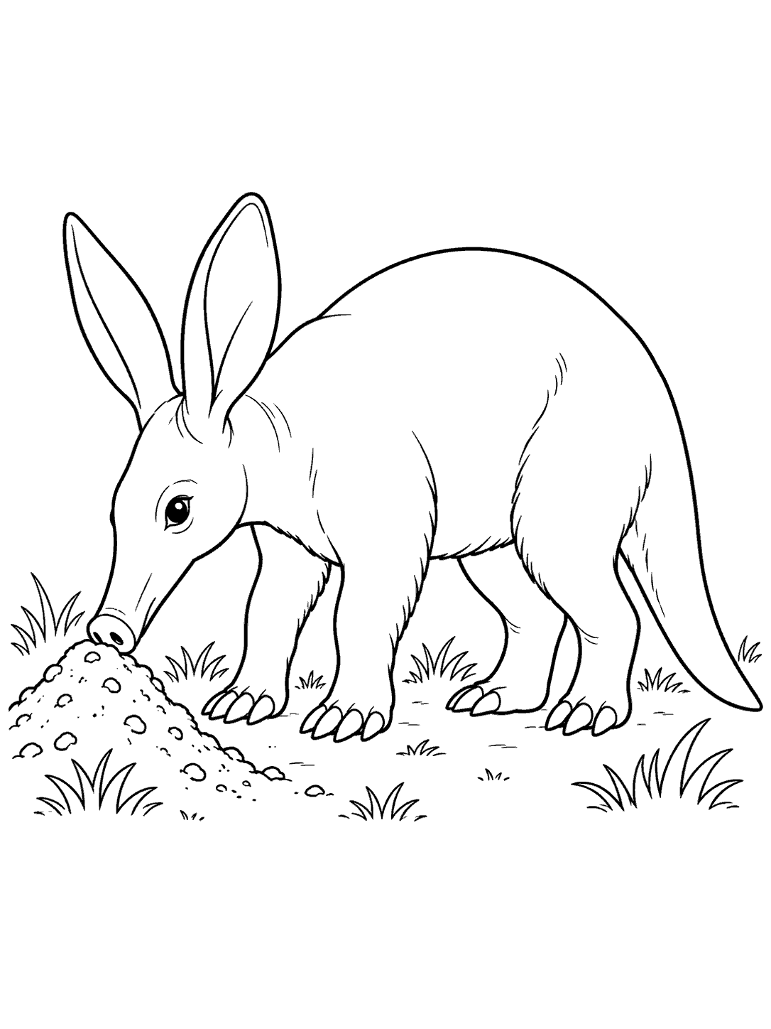 Aardvark coloring page showing the animal in side profile at an anthill, with grass tufts and open white space.