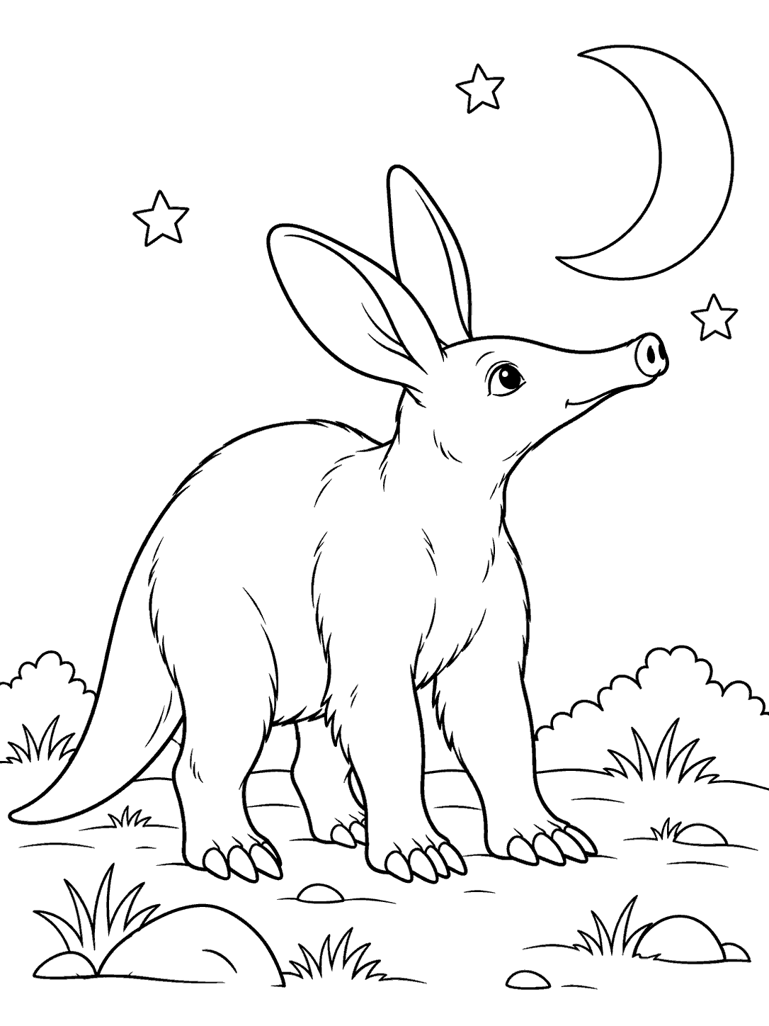 Aardvark under the stars coloring page