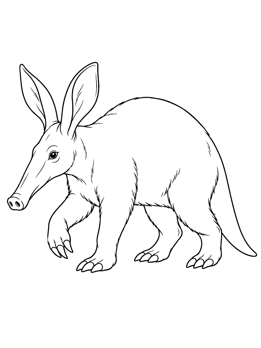 Black-outline coloring page showing a side-view aardvark with a long tapered snout, large ears, sturdy legs, and a tapering tail.
