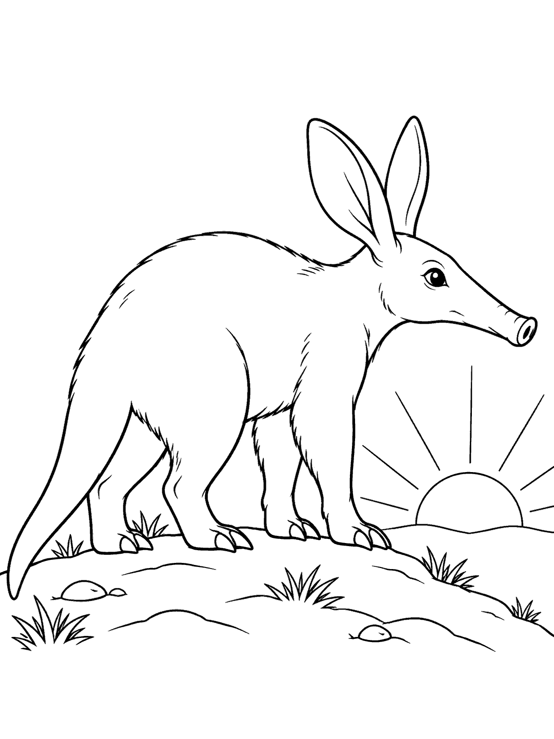 Black-and-white aardvark coloring page showing a large-eared aardvark on a ridge beside a rising sun.