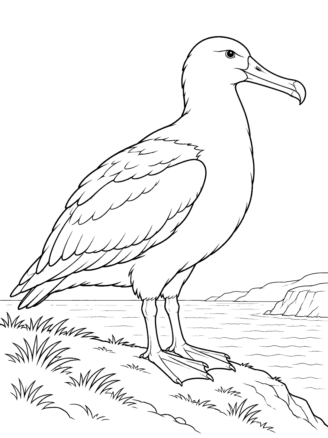 Albatross standing on a coastal cliff coloring page