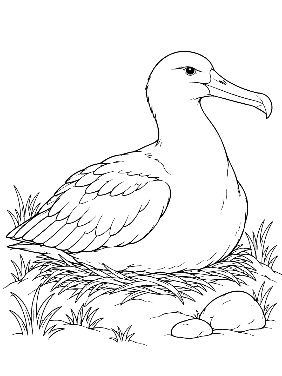 Albatross sitting on a nest coloring page