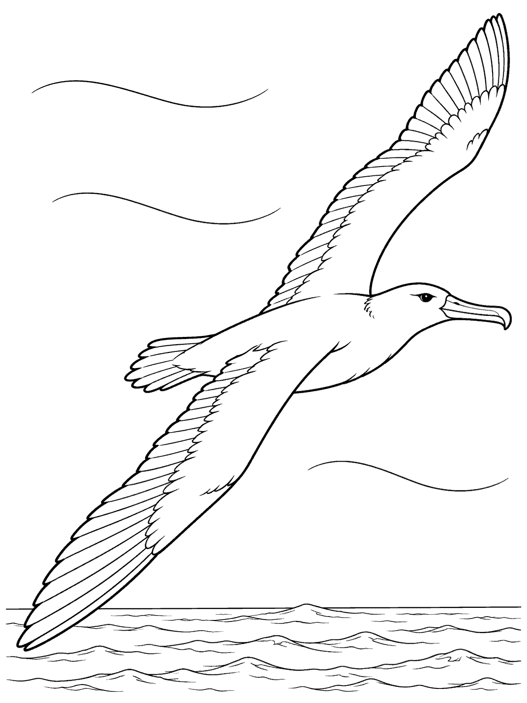 Albatross sailing on ocean air currents coloring page