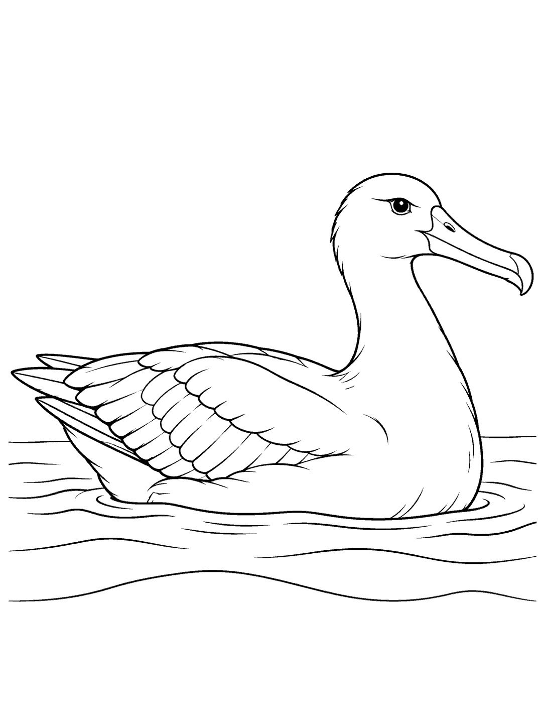 Albatross floating on the sea coloring page