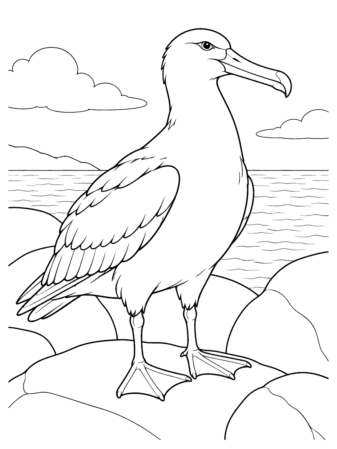 Line-art albatross with folded wings and webbed feet standing among shoreline rocks
