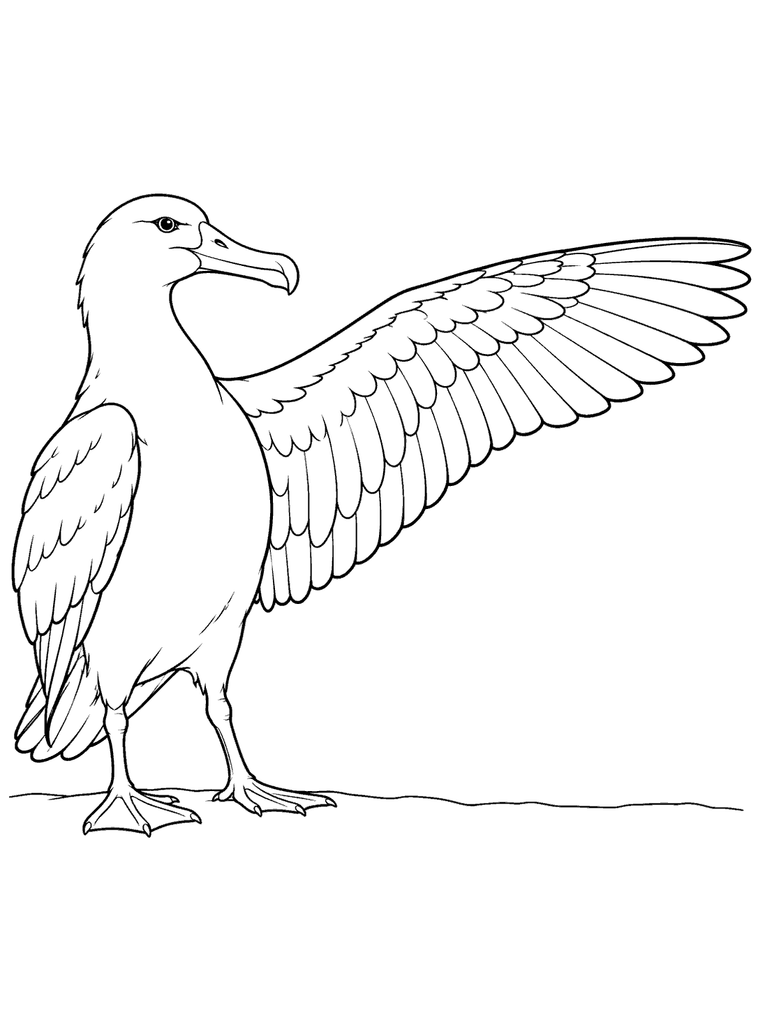 Albatross stretching one wing coloring page