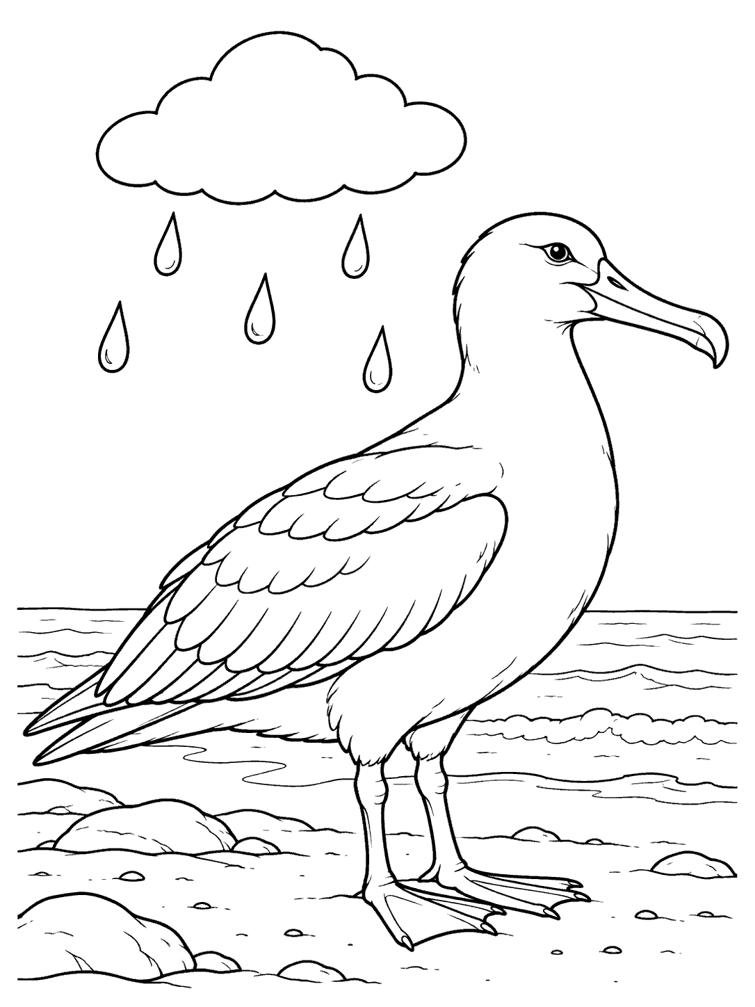 Albatross standing in gentle rain coloring page