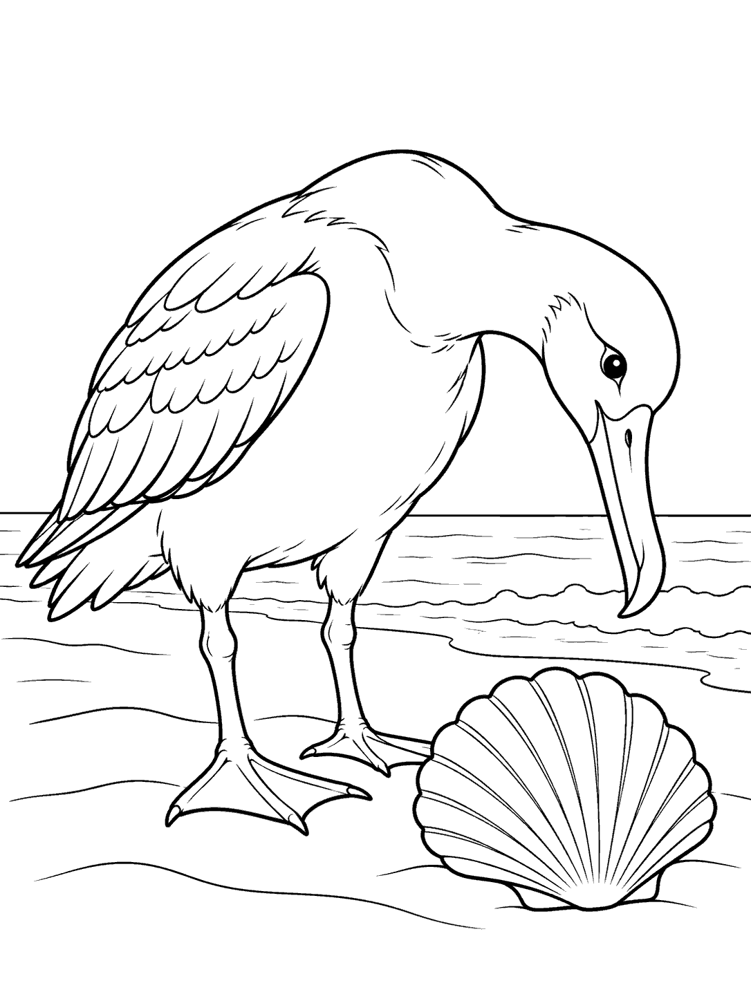 Albatross beside a large scallop shell on a beach coloring page