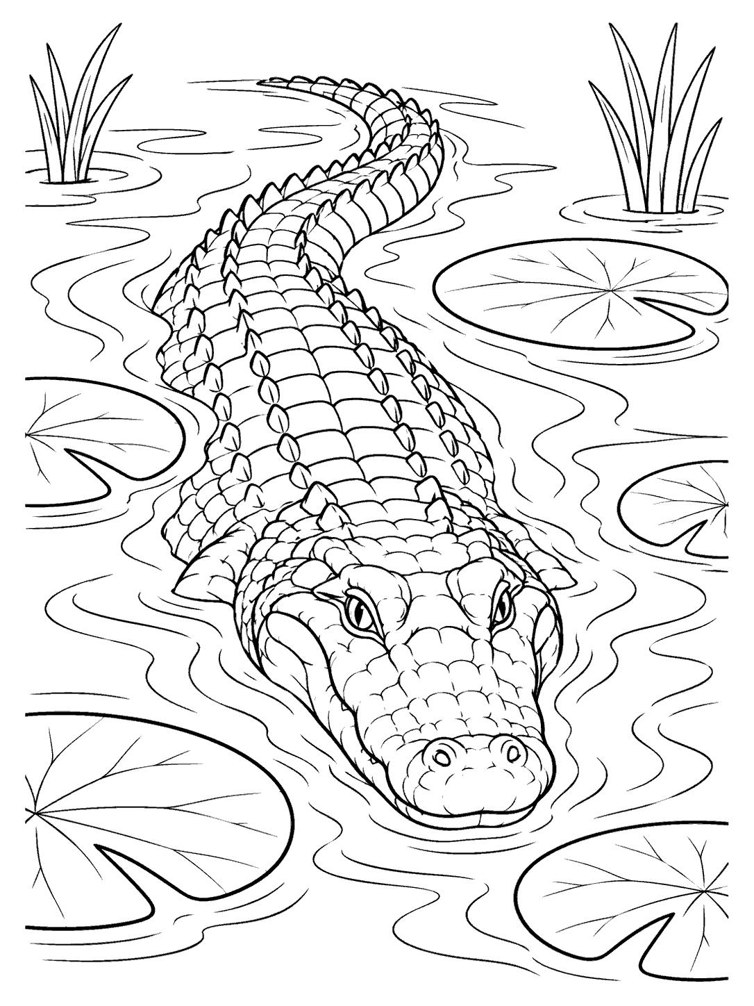 Alligator swimming through rippling swamp water, surrounded by lily pads