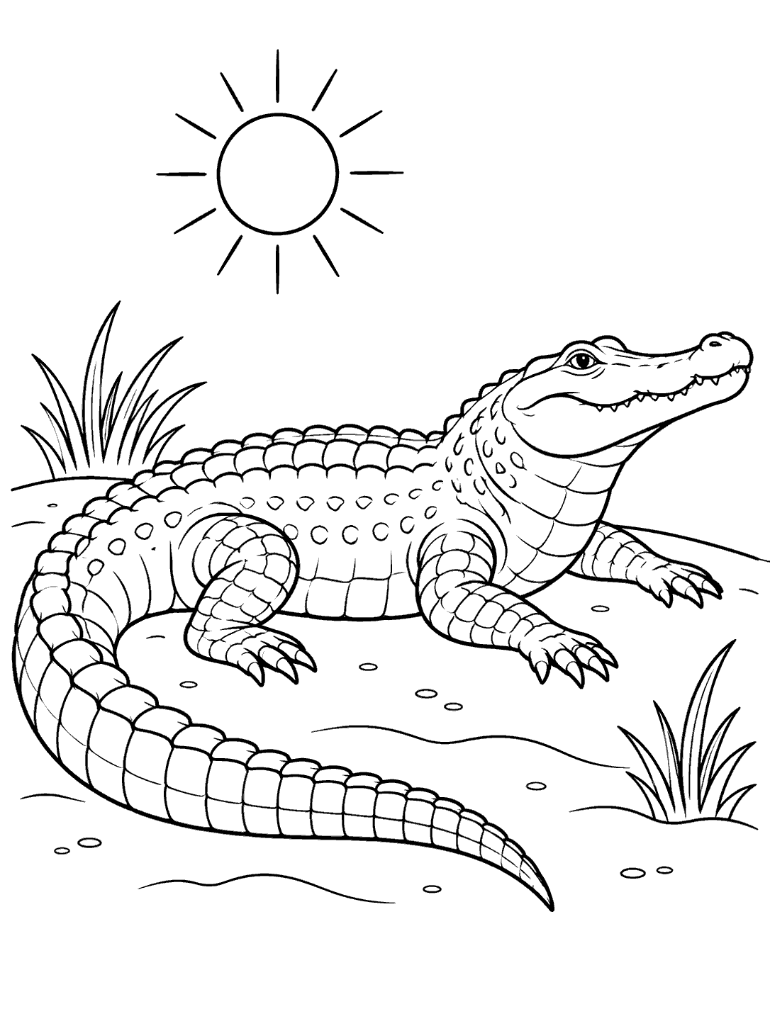A detailed alligator basking on a sandy patch beneath a sun, with grass tufts nearby.