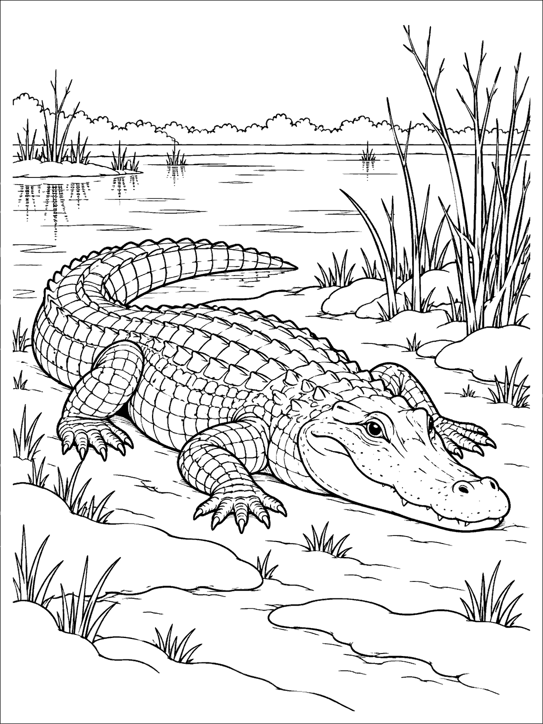 Alligator beside a lightly snow-covered marsh bank