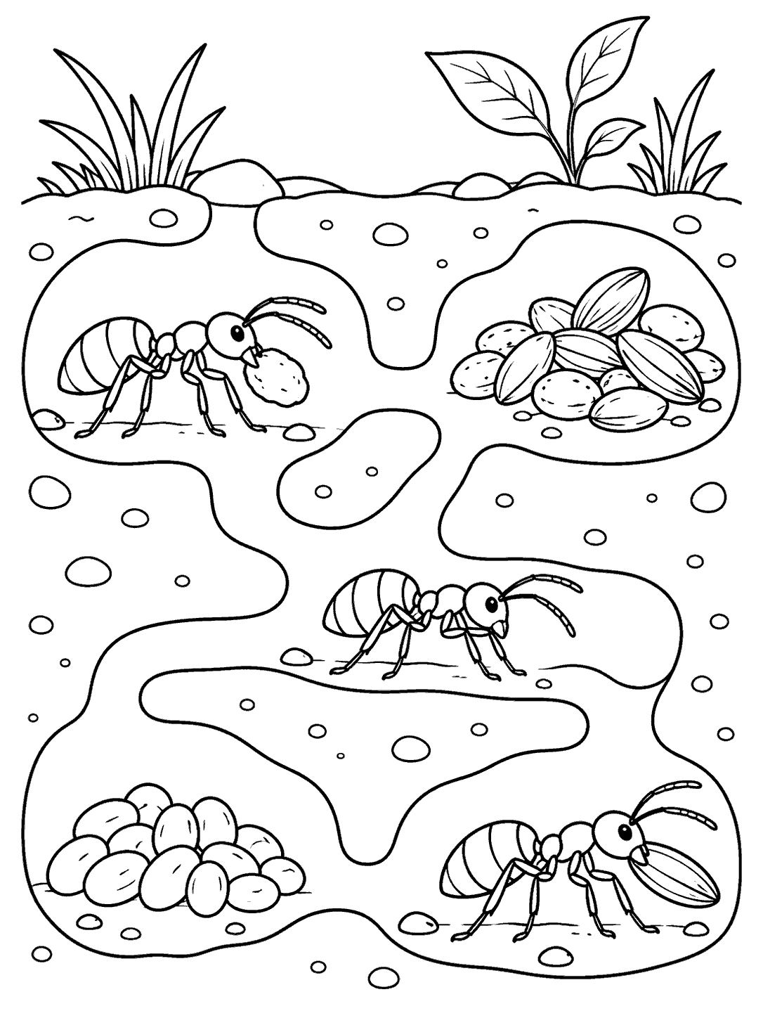 Three six-legged ants moving through white underground tunnels beside a food store and a cluster of eggs.