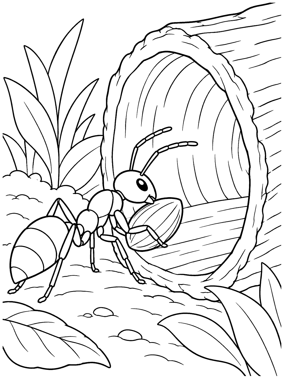 Ant carrying a seed toward the opening of a hollow log
