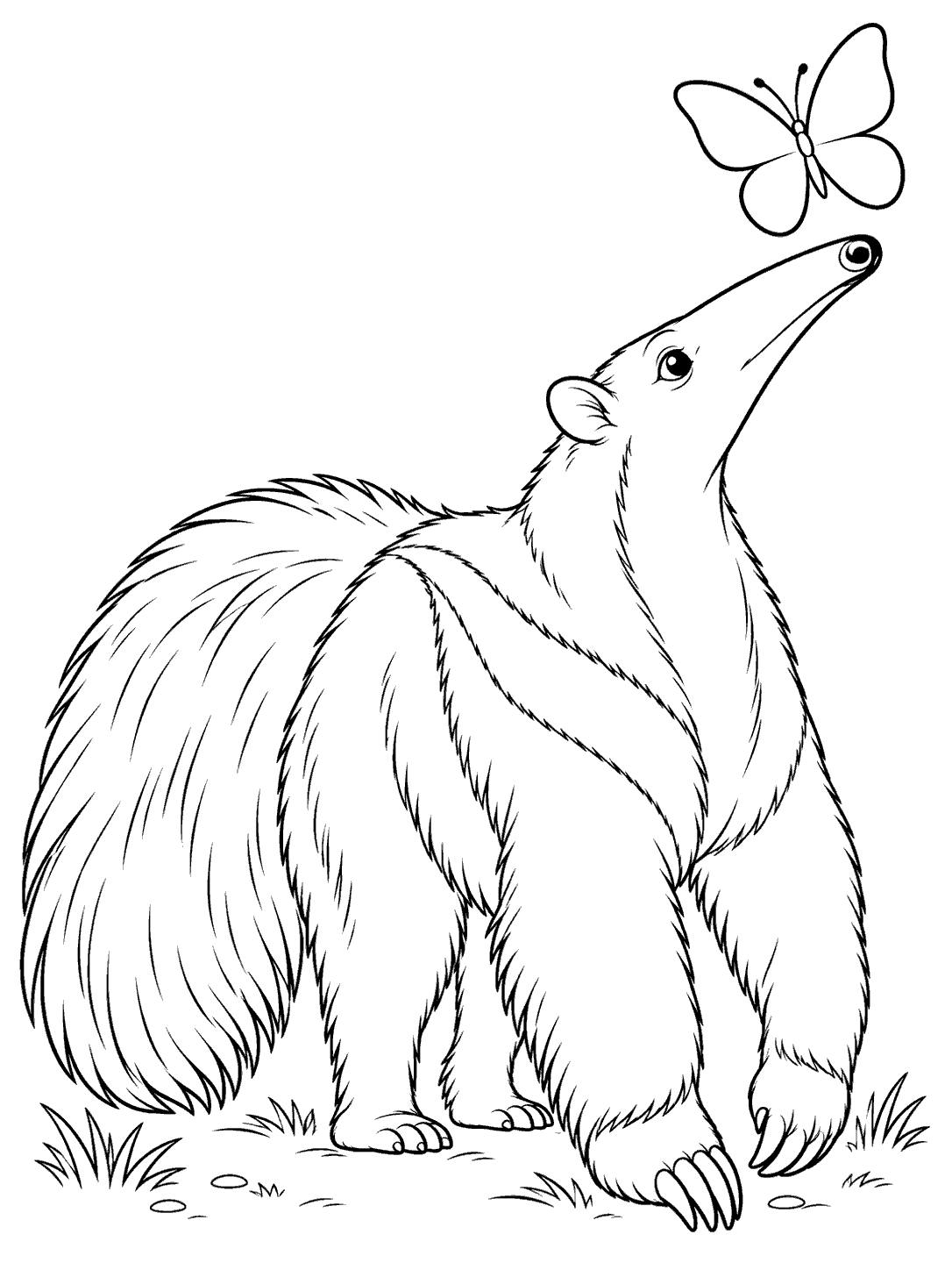 Giant anteater gazing up at a simple-winged butterfly in a printable coloring page