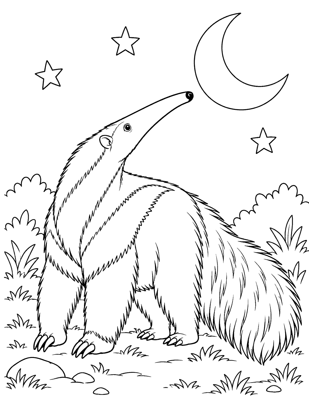 Giant anteater looking toward a crescent moon and three stars coloring page