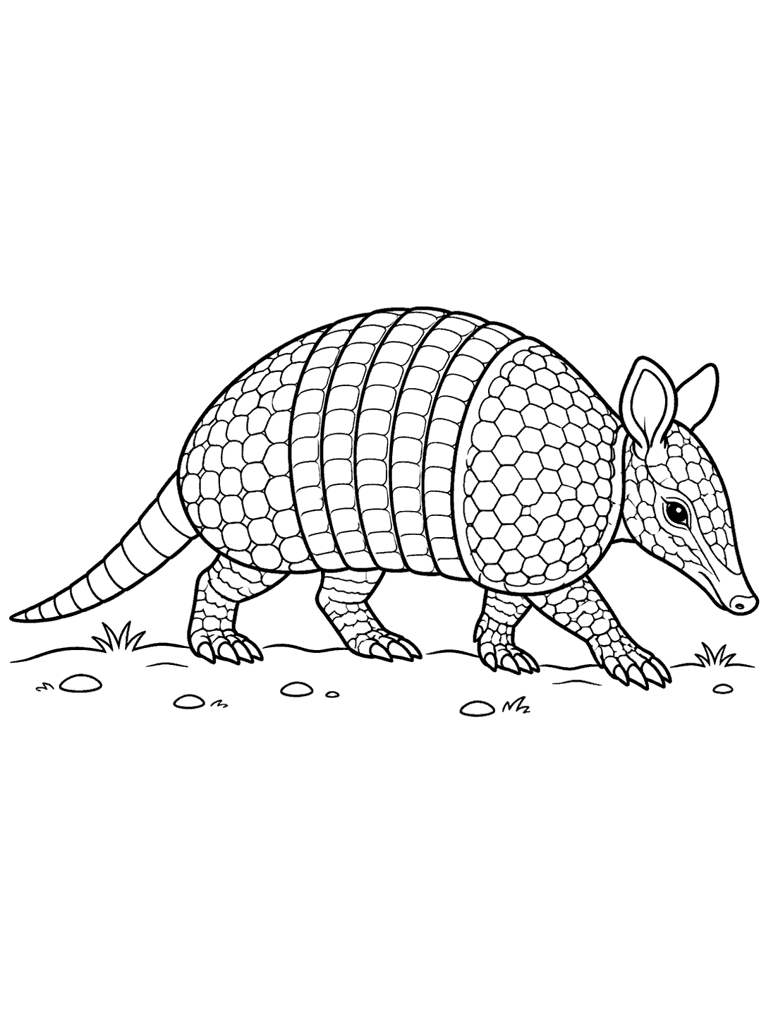 A side-view armadillo with banded armor, short legs, pointed snout, and long tail walking across sparse ground.