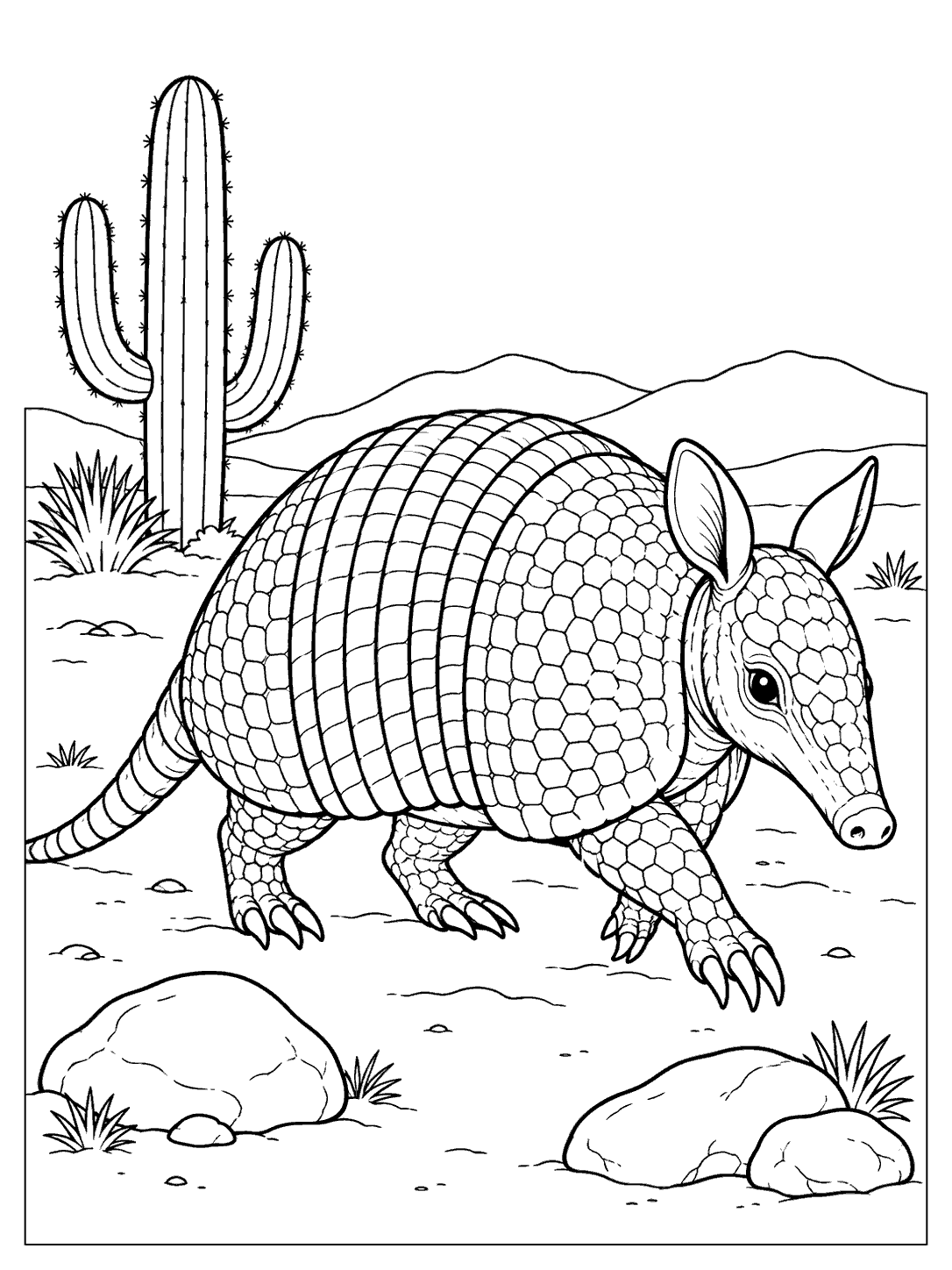 A central, heavily armored armadillo walking through a desert scene with a tall cactus, distant hills, small plants, and rounded rocks.
