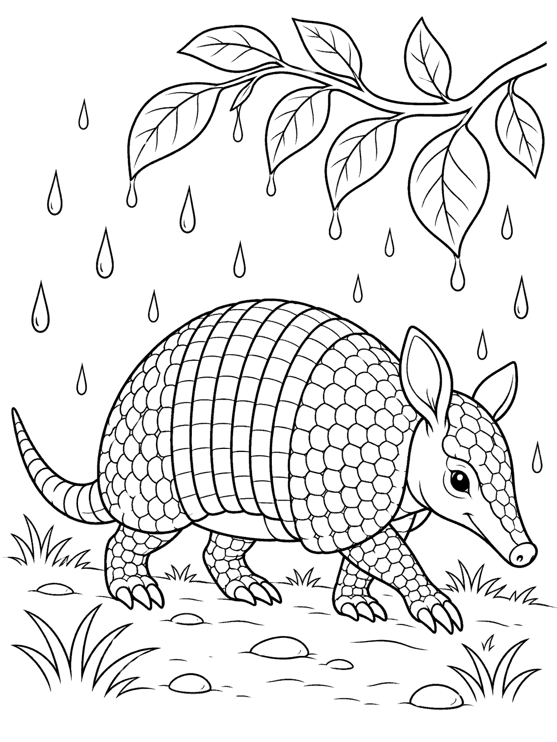 Armadillo walking beneath a leafy branch in the rain