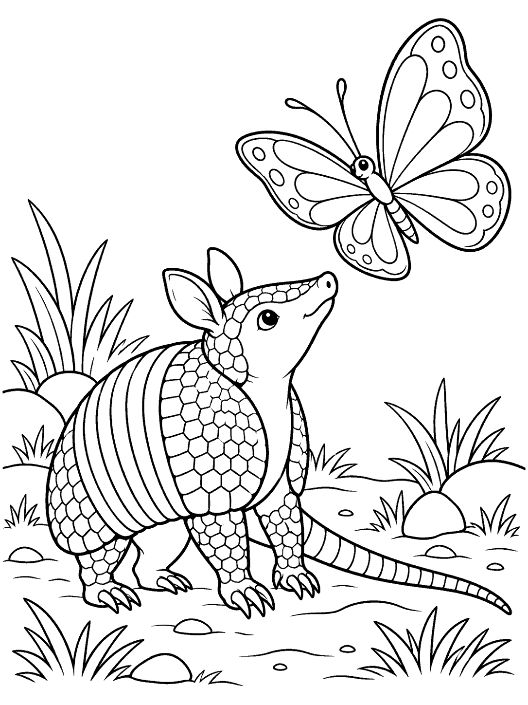 Armadillo looking up at a butterfly