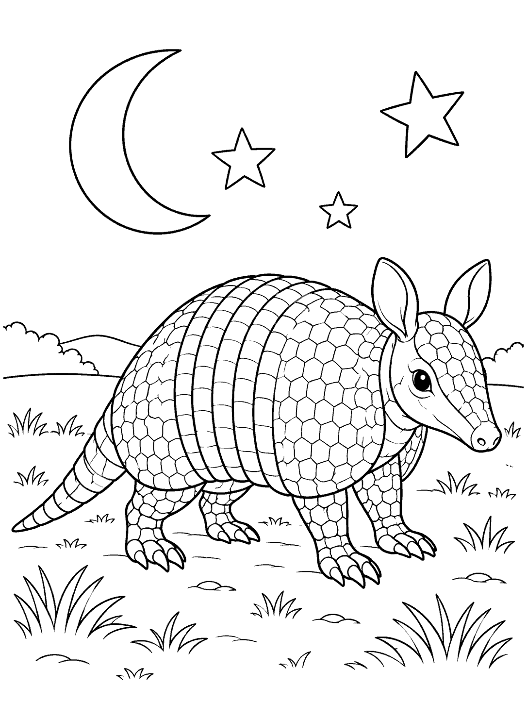 Armadillo with clearly segmented armor standing beneath a crescent moon and three stars in a grassy clearing.