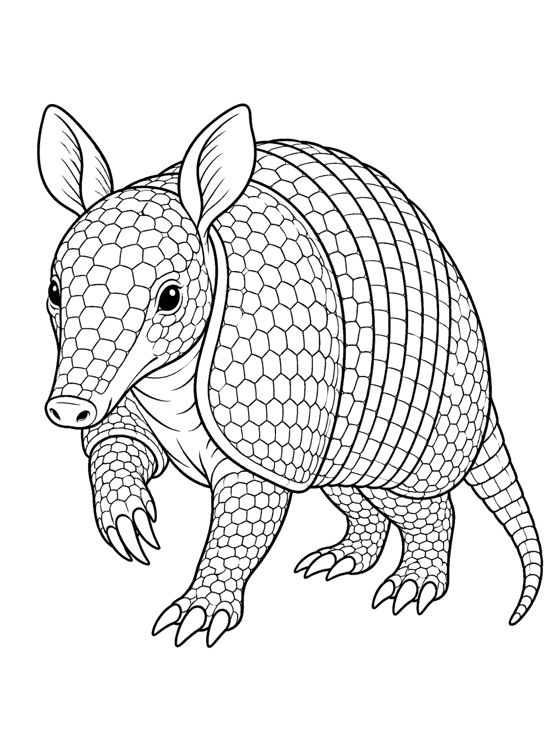 Detailed armadillo coloring page showing the animal facing slightly forward with one front paw raised.