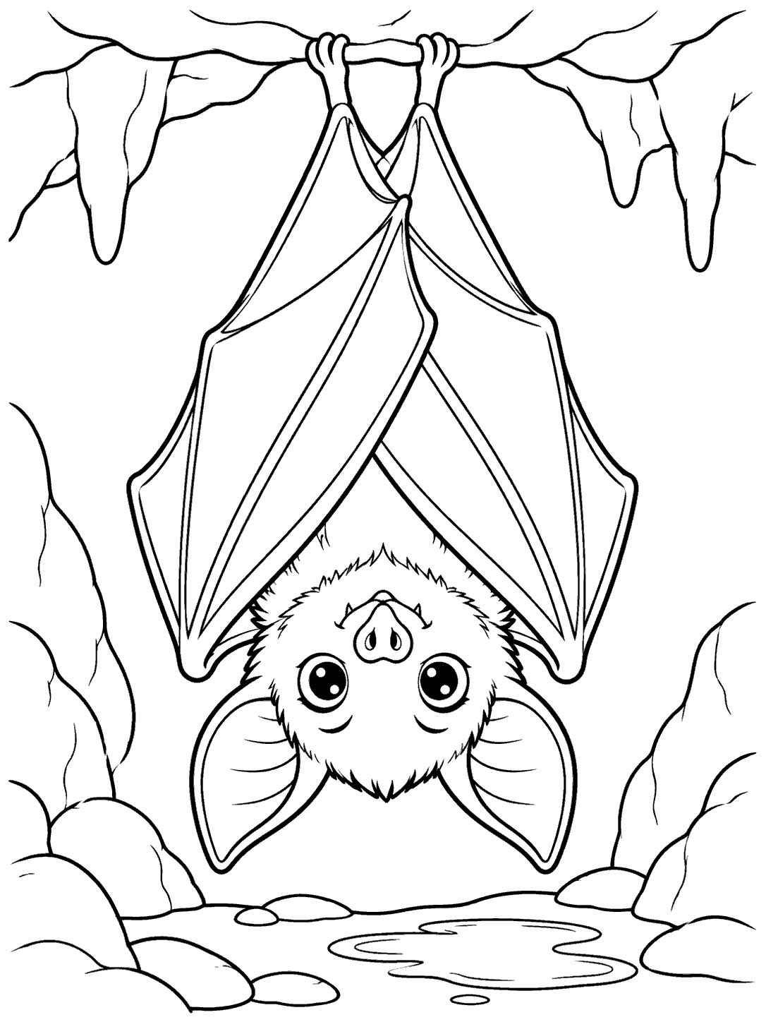 A single wide-eyed bat hanging upside down from a cave ceiling, framed by cave rocks with a small puddle below.