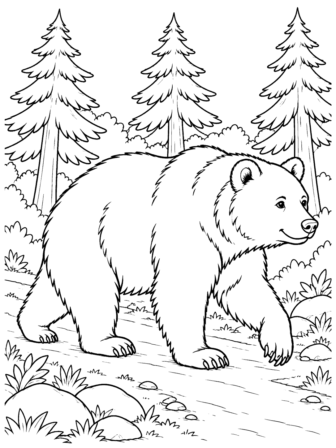 Black-outline coloring page of a bear walking along a forest path beneath three pine trees, with stones and plants nearby.
