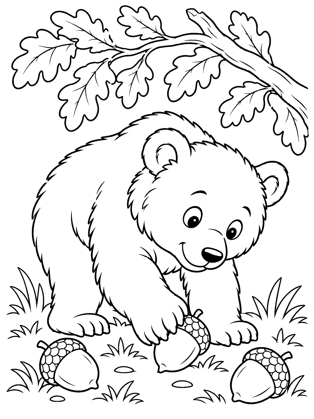 Crouching bear reaching for an acorn, with two more on the ground beneath an oak branch coloring page