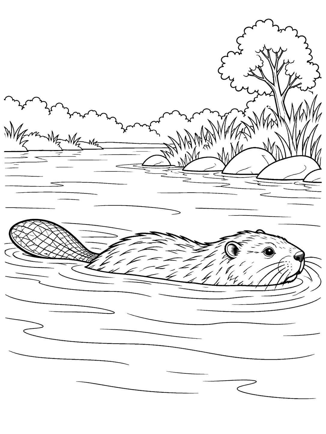 Black-outline coloring page showing a beaver swimming in profile with its broad flat tail visible, surrounded by river ripples and a grassy, tree-lined bank.