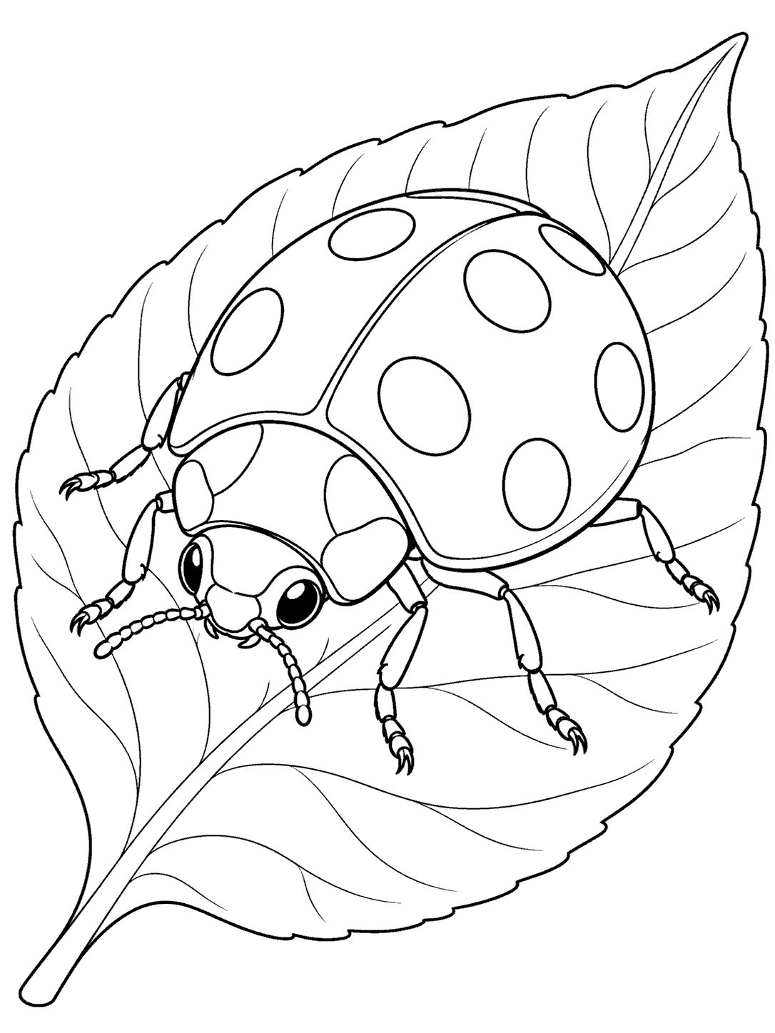 Black-and-white ladybug beetle coloring page on a broad leaf