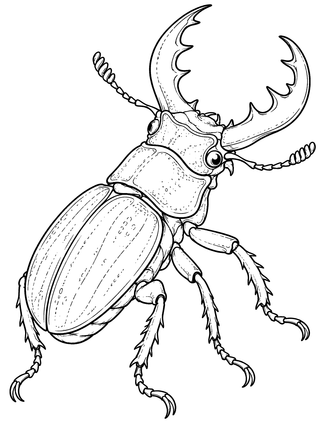 Stag beetle coloring page