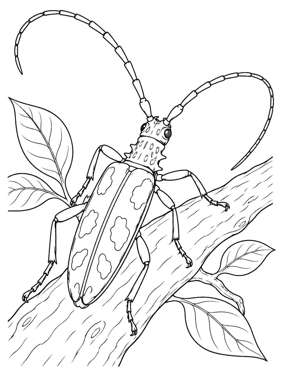 Longhorn beetle on a branch coloring page, with long segmented antennae and leafy details.