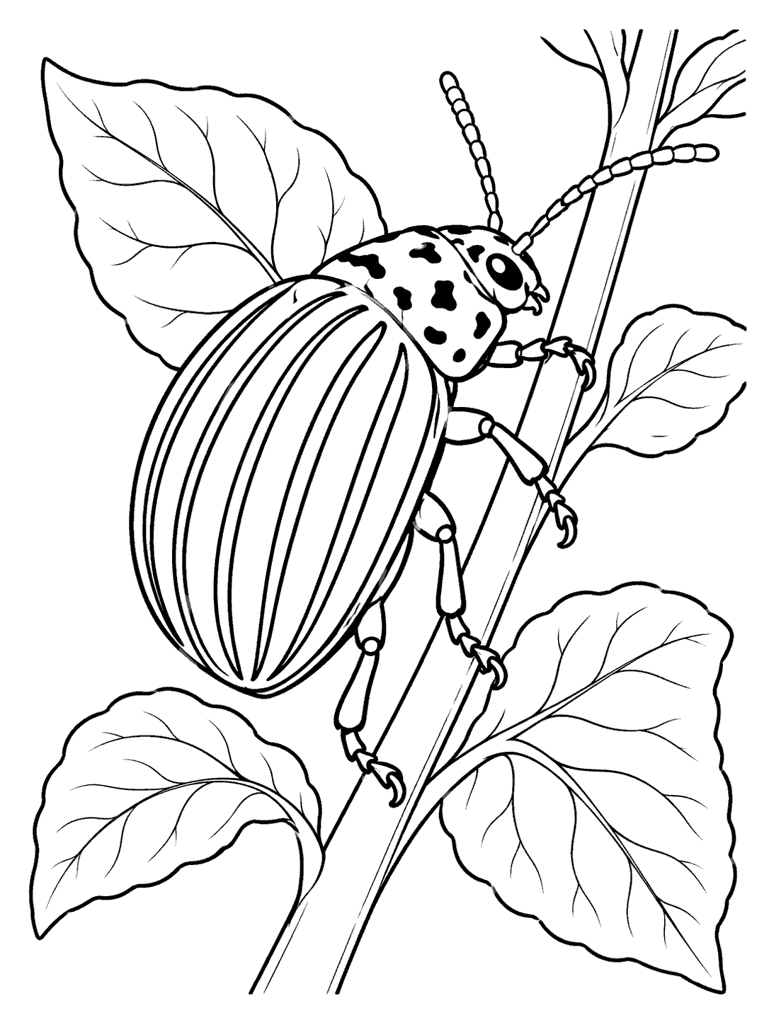 Colorado potato beetle with striped wing covers climbing a leafy stem coloring page