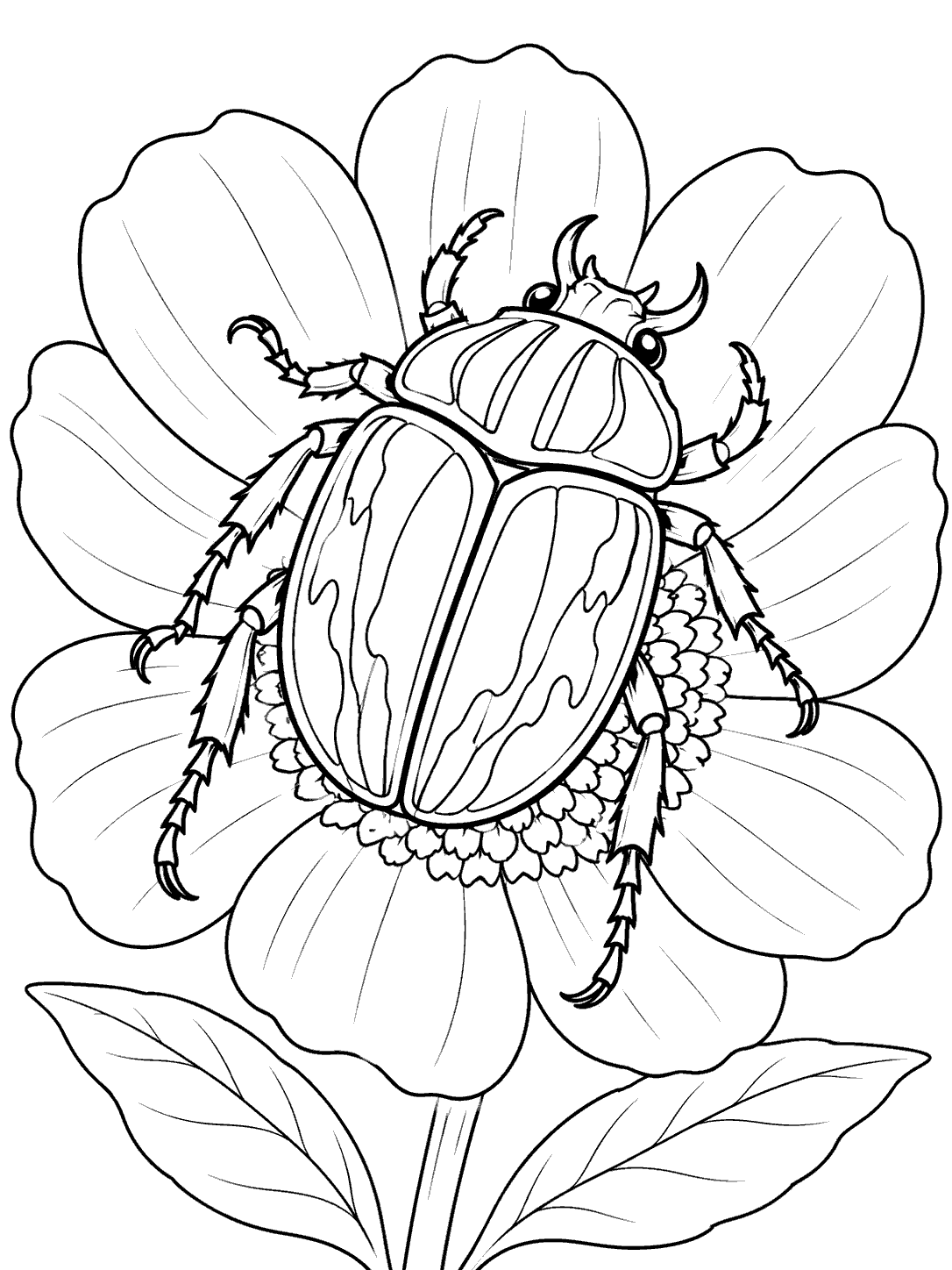 Black-and-white coloring page of a large beetle on a flower