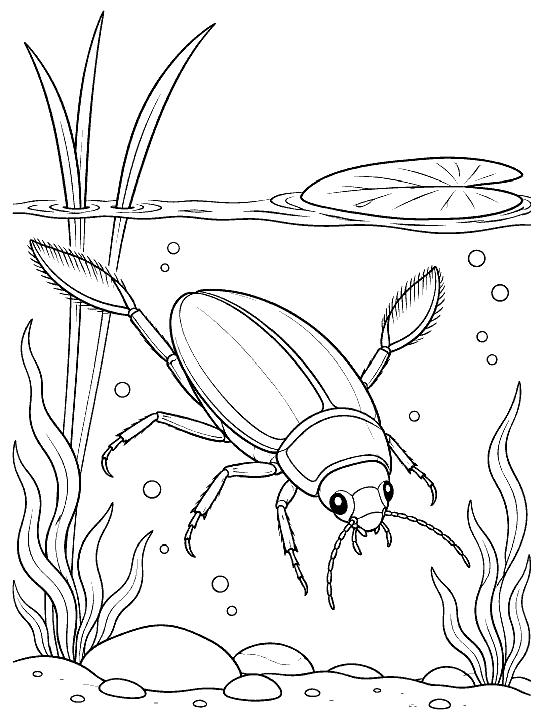 Line art of a large diving beetle swimming underwater beneath a pond surface, with reeds, a floating leaf, bubbles, and pond plants.