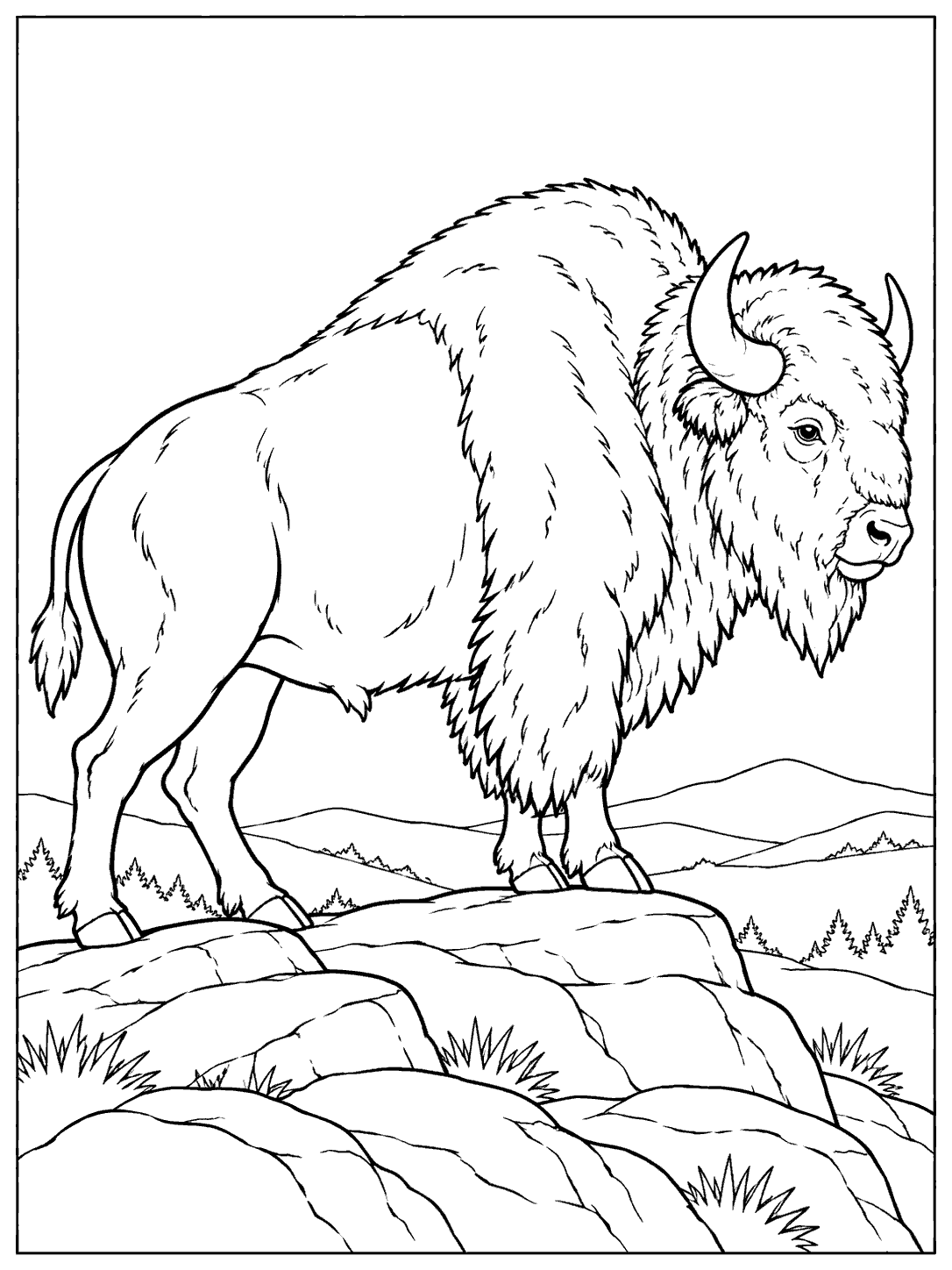 Bison standing on a rocky ridge with hills in the background, coloring page