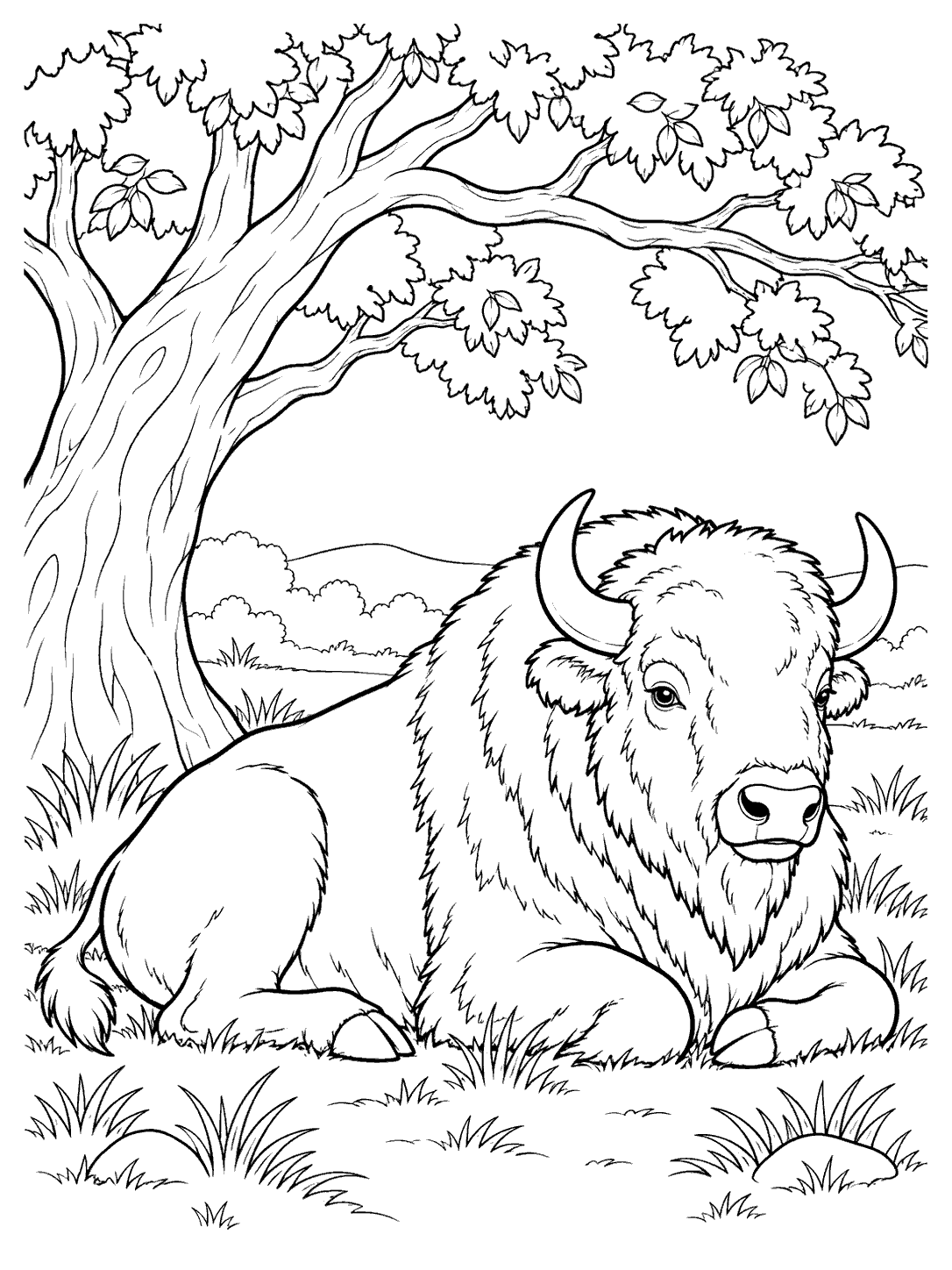 Bison resting under a tree coloring page