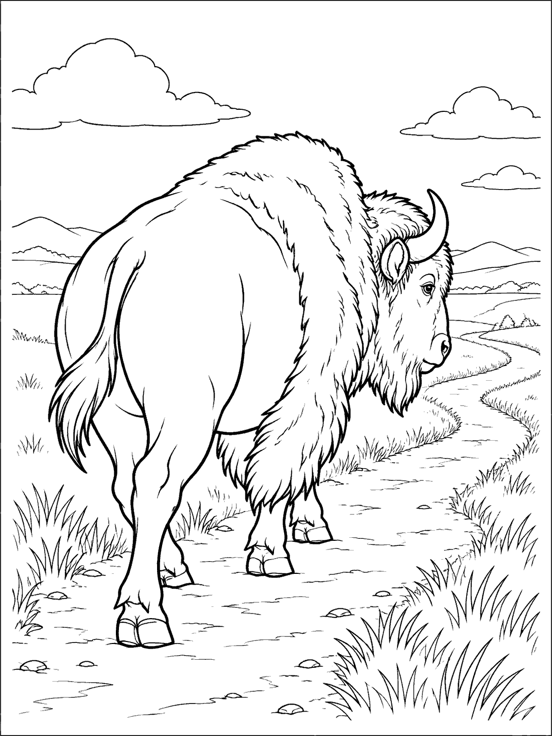 Three-quarter rear view of a bison walking a winding prairie trail coloring page