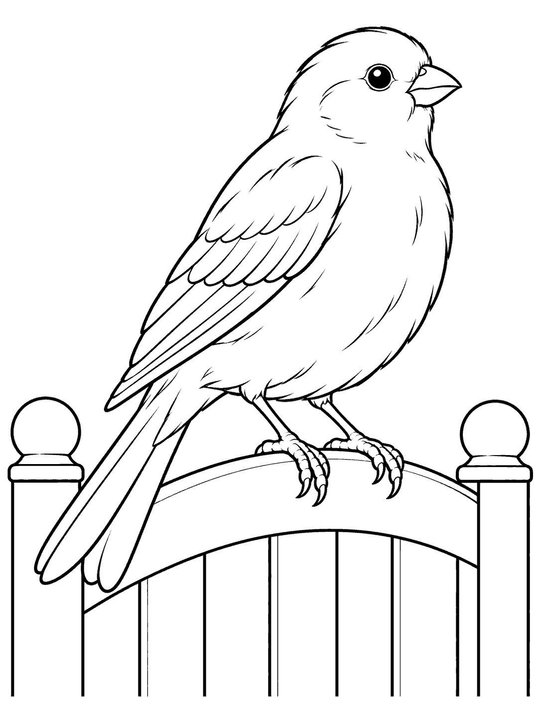 Canary perched on a garden gate coloring page
