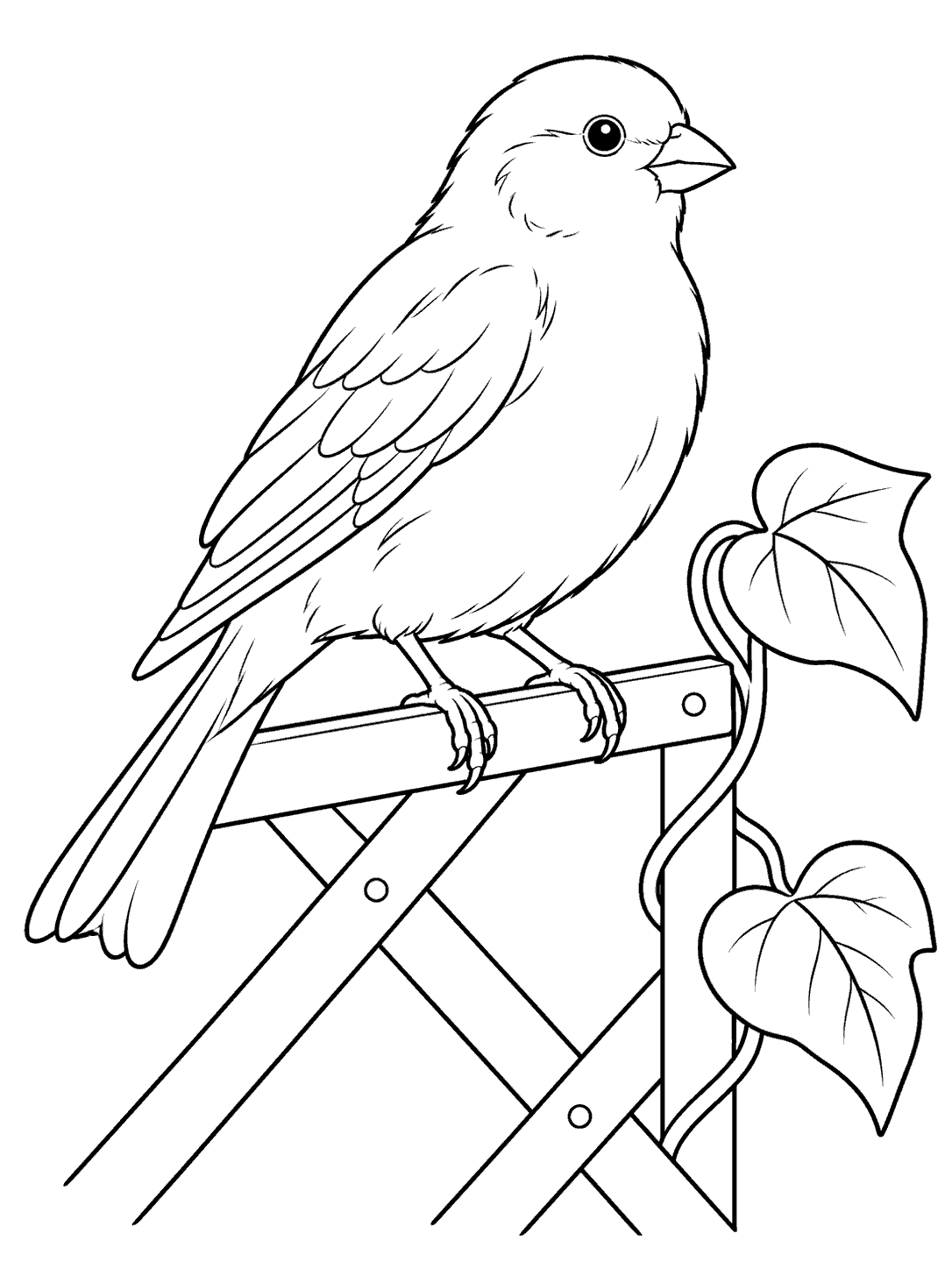 Black ink coloring page of a canary perched on a garden trellis beside a vine with two broad leaves.