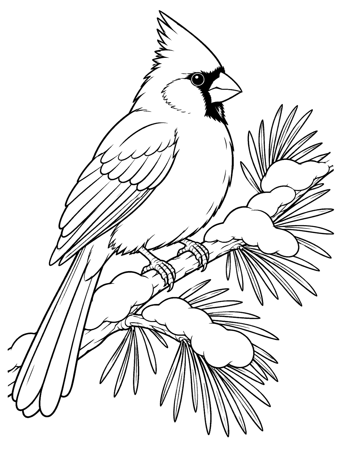 Black-outline cardinal perched on a snowy pine bough coloring page