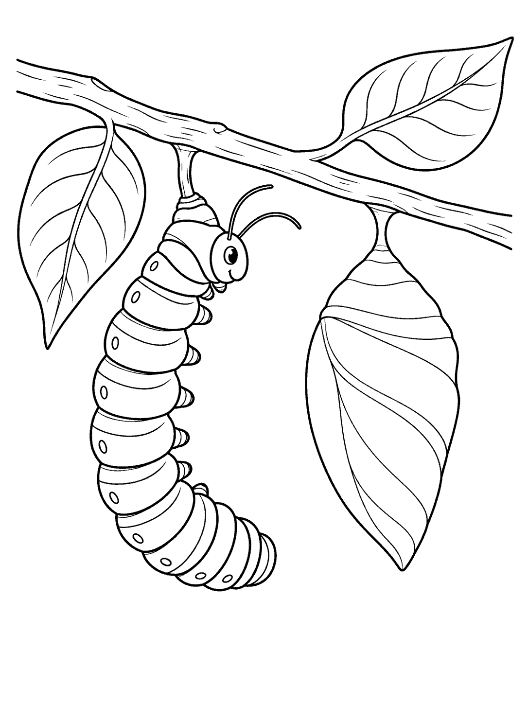 Black-and-white coloring page showing a segmented caterpillar hanging from a twig beside a leaf-shaped chrysalis, with two leaves.