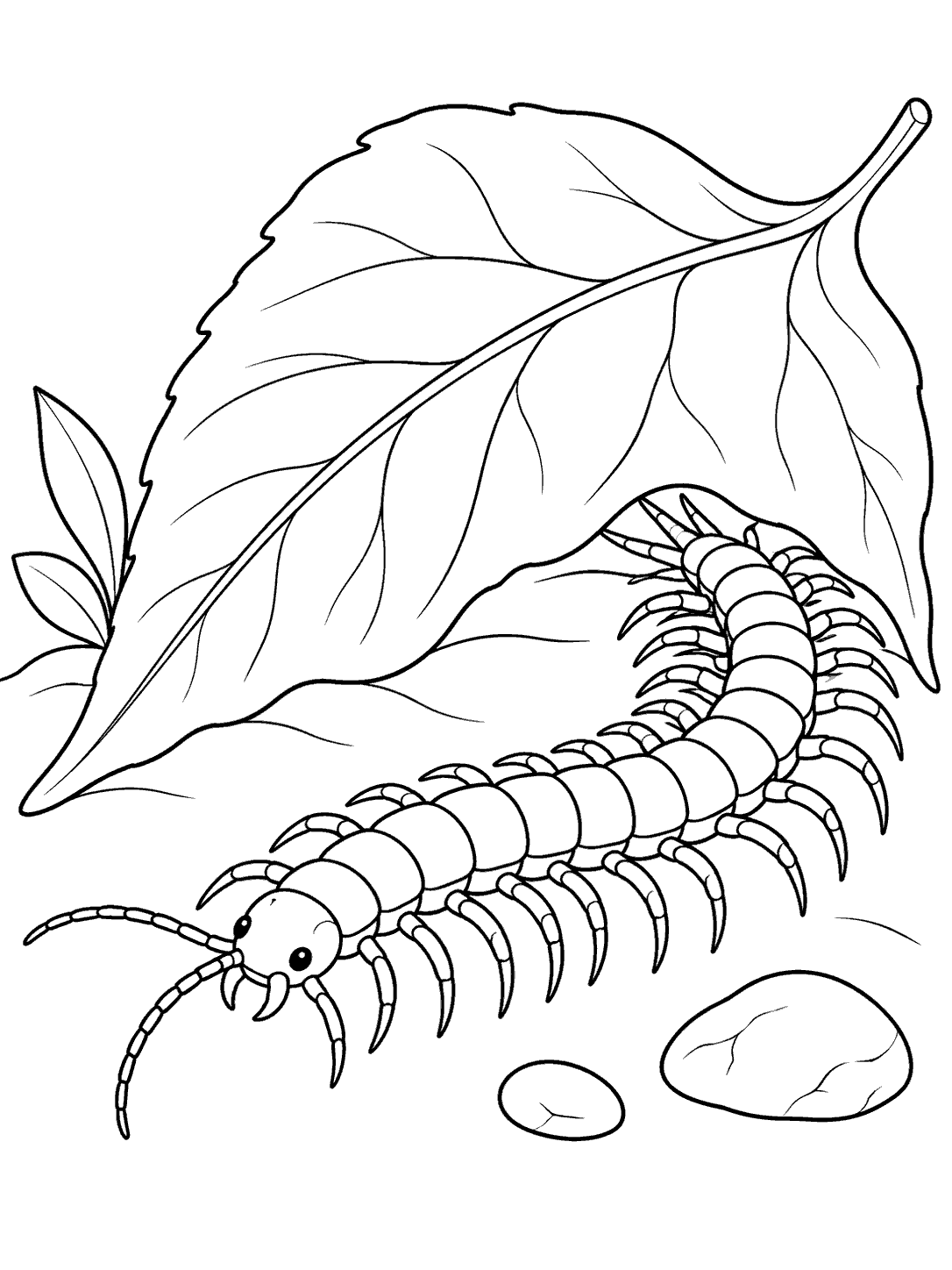 Centipede beneath a fallen forest leaf coloring page