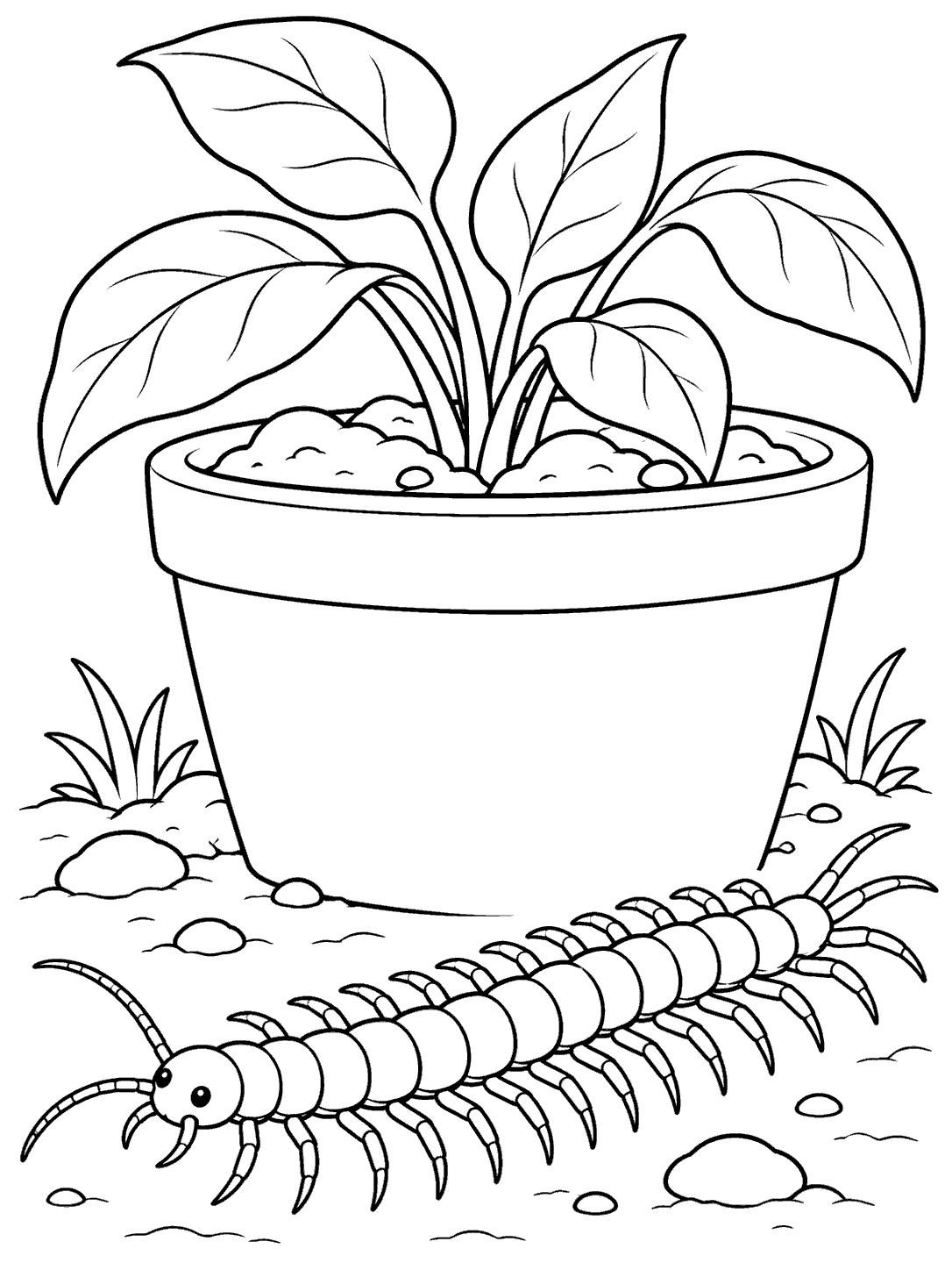 Black-and-white coloring page of a segmented centipede in front of a large flowerpot with a leafy plant.
