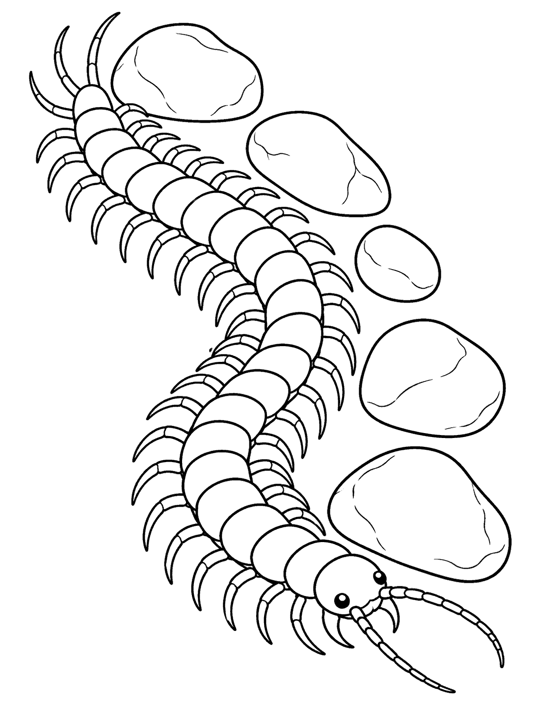 Sweeping centipede following a curved trail of five outlined pebbles on a coloring page