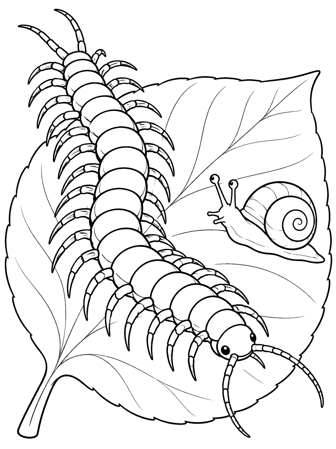 Centipede and snail meeting on a large leaf coloring page
