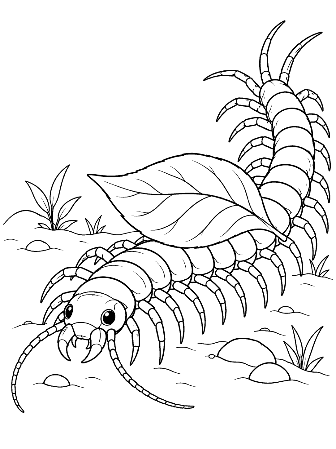 Black-and-white coloring page showing a wide-eyed centipede carrying a large leaf, with a simple ground line and small plants.