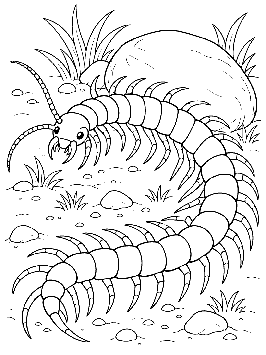 Black-and-white coloring page of a centipede curling beside a large stone, with its antennae and many legs visible.