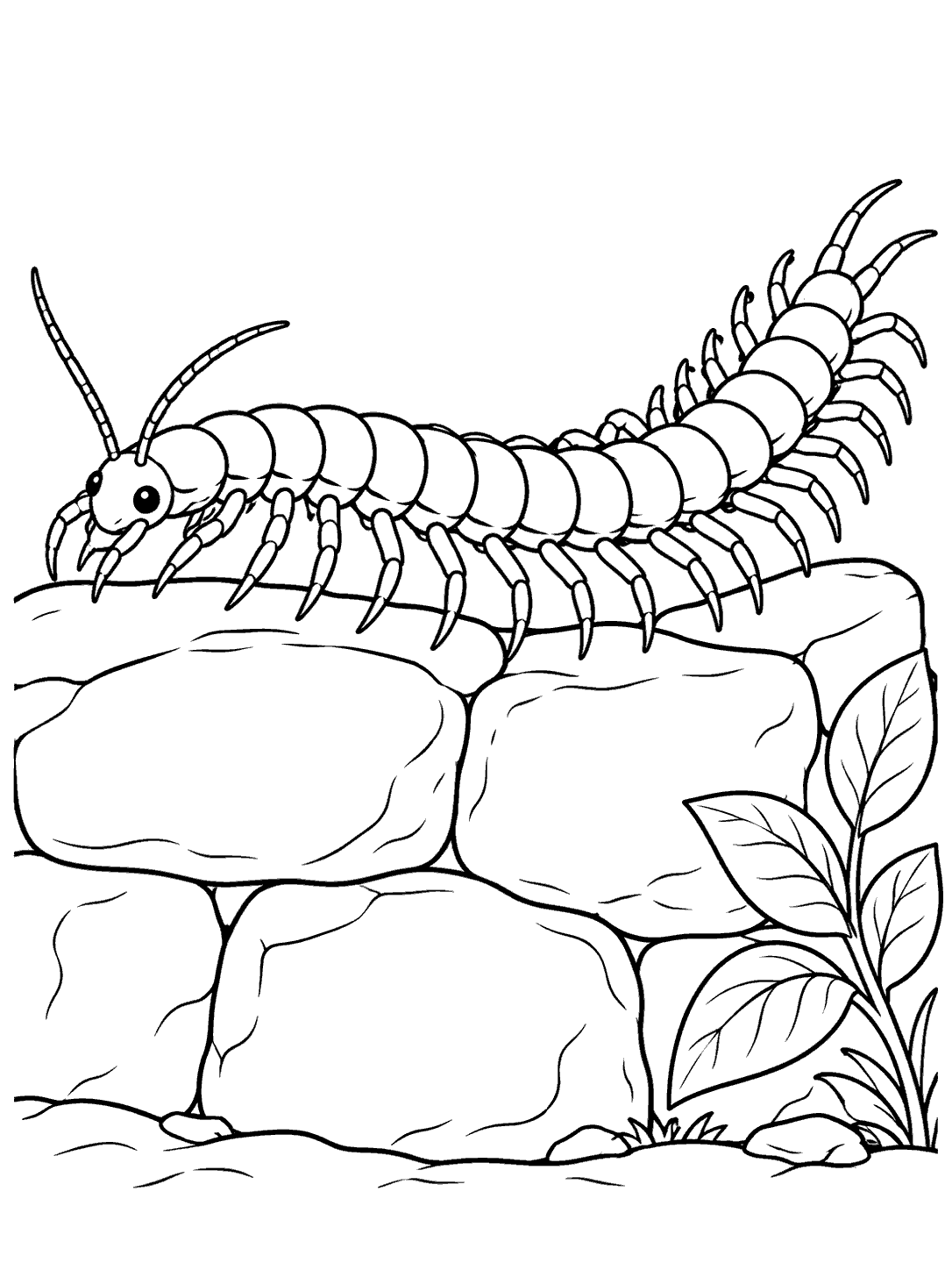 Centipede crawling across a low garden wall coloring page
