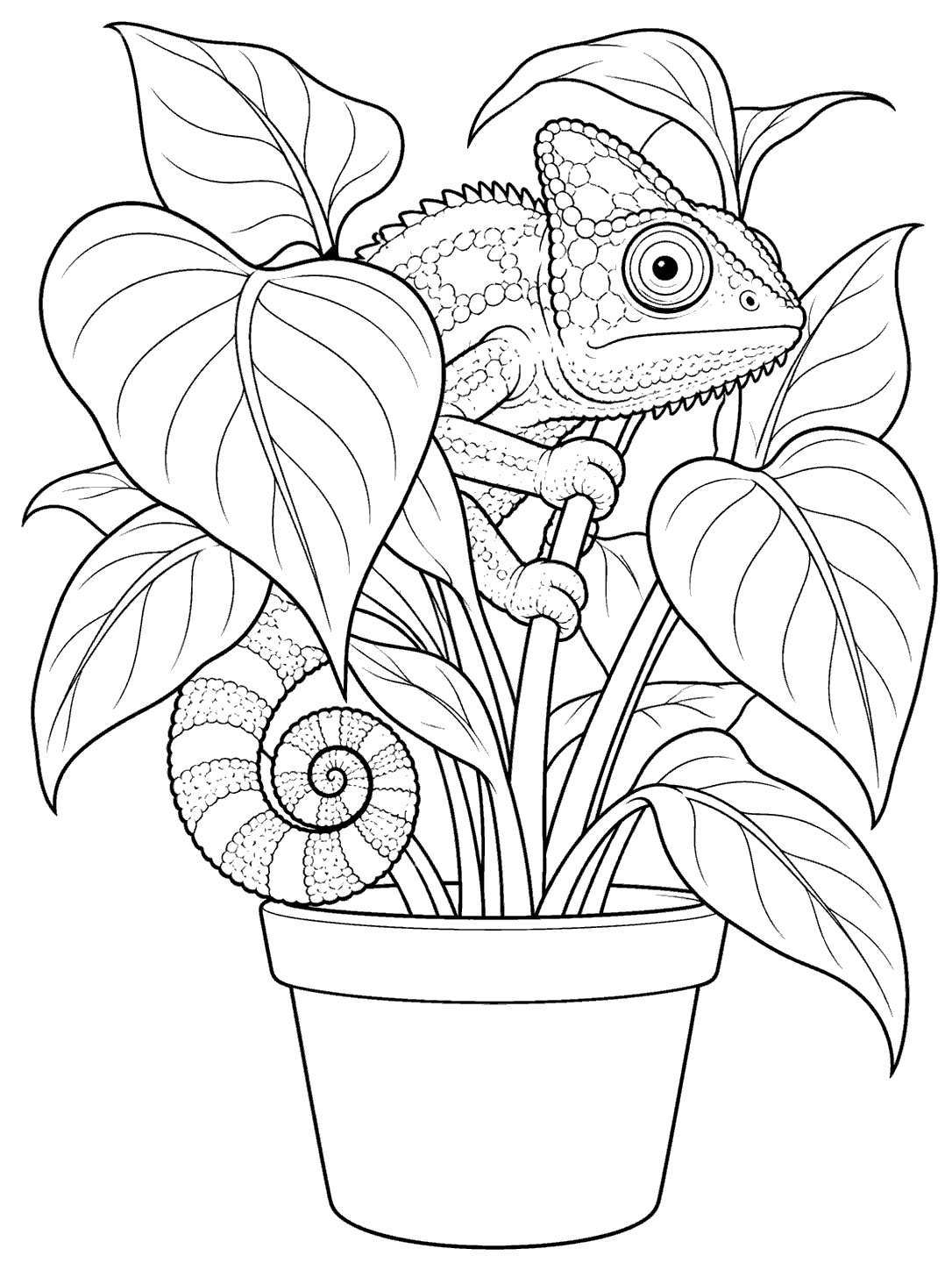Black outline coloring page of a chameleon peeking among broad leaves in a flowerpot, with its curled tail visible.